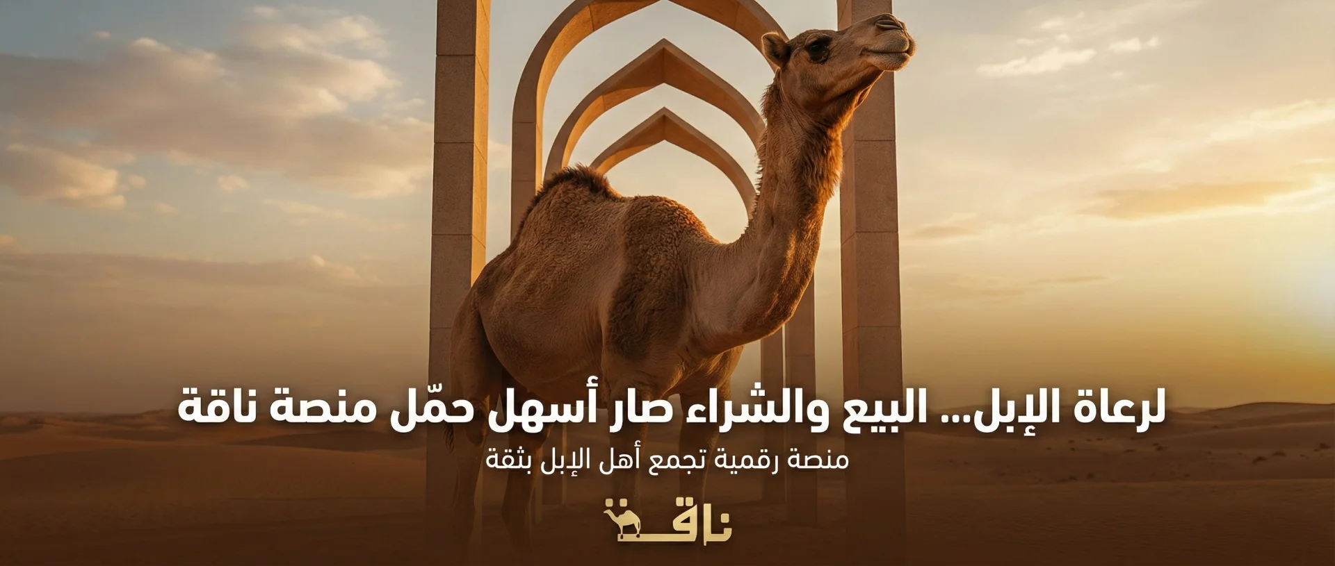 من مشروع منصة ناقة