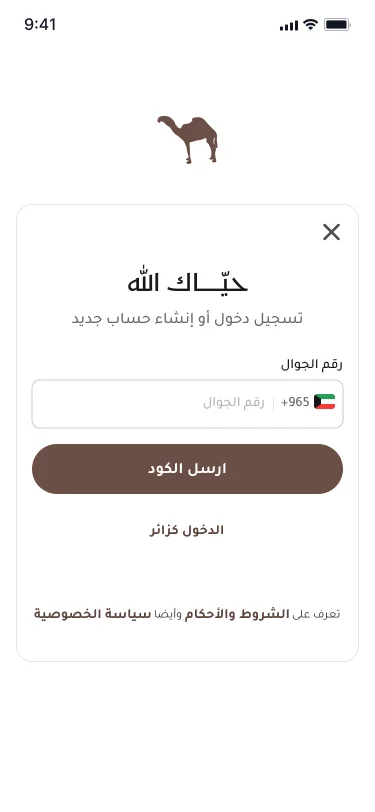 صور مؤقتة — شاشات ناقة قريبًا